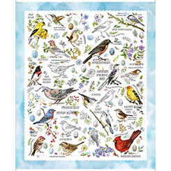 Drawn to Birds by QT Fabrics