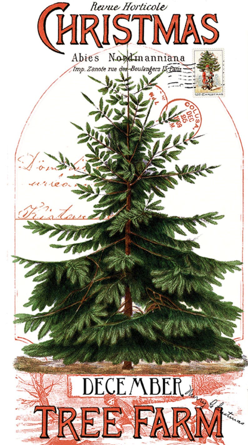 Classic Christmas by J. Wecker-Frisch  for Riley Blake