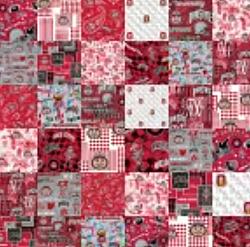 Ohio State Cheater Panel