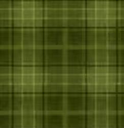 Snowtop Mountain Flannel