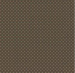 Black Sheep Cotton