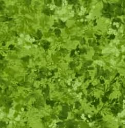 Neighborhood Association Leaf Texture