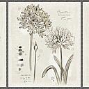Botanical Sketchbook Large Panel