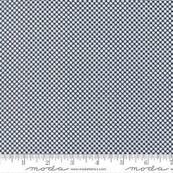 American Gatherings III