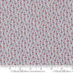 American Gatherings III