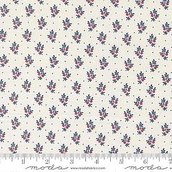 American Gatherings III