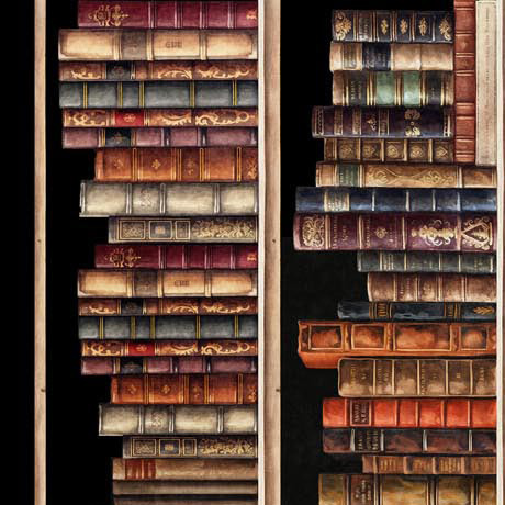 Bookworm by Morris Creative Group for QT Fabrics