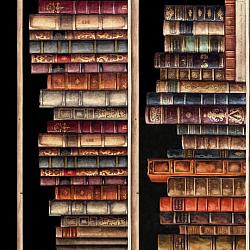 Bookworm Book Shelves by Morris Creative Group for QT Fabric