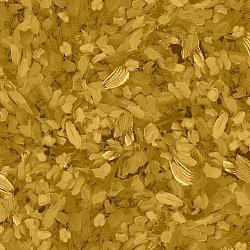 Watercolor Texture Gold