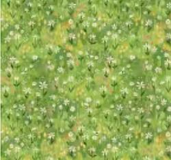Into the Meadow